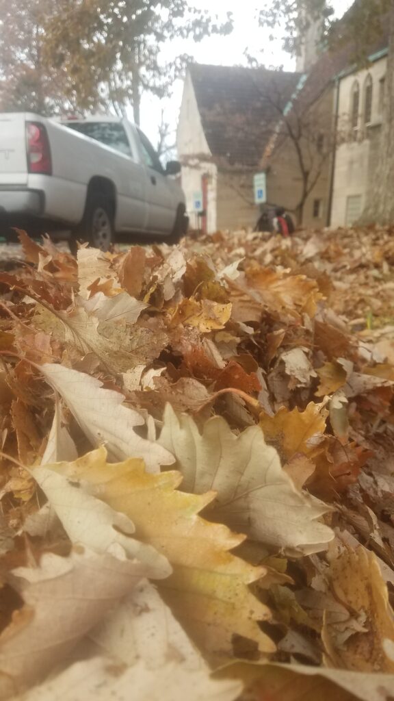 Close-up view of fallen autumn leaves on a sidewalk, with a parked vehicle and buildings in the background.